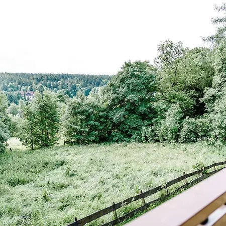 Apartment Wiesenblick *